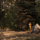 Image for article titled Updates From Stranger Things, Bill & Ted 3, and More